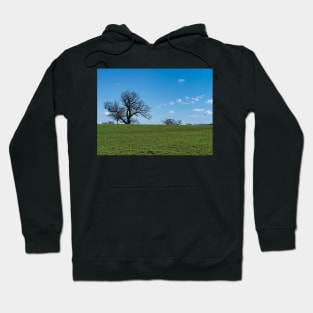 Blue sky, white clouds, winter trees and freshness of the new day. Hoodie